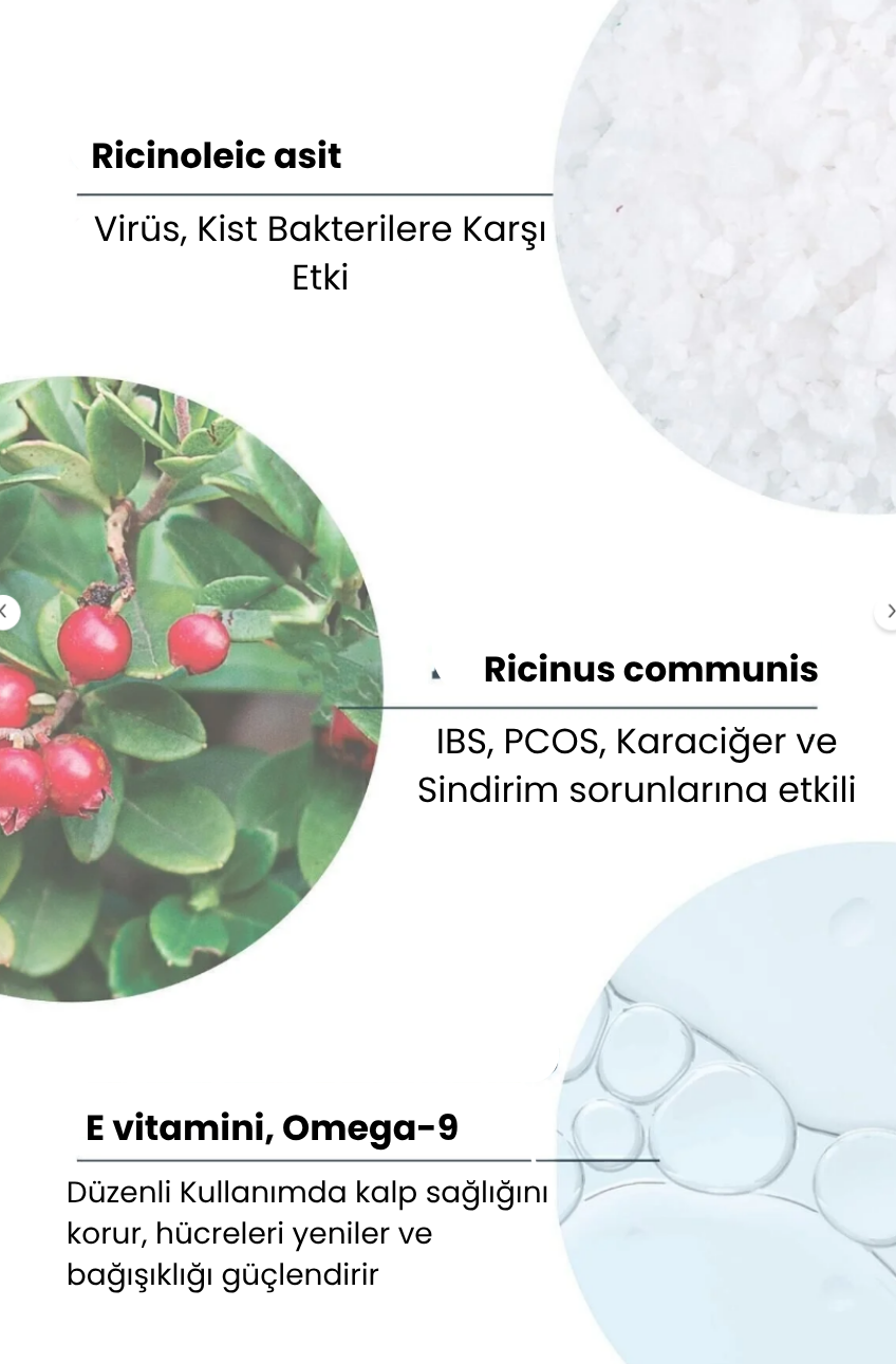 Veniosa Karaciğer Denge Paketi (Korse ve Hint Yağı)