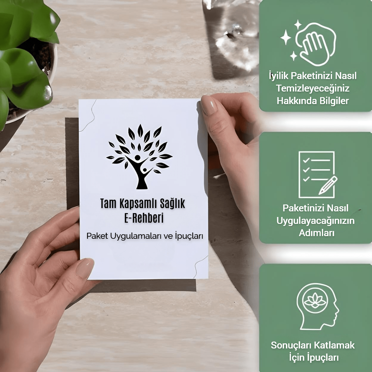 Veniosa Karaciğer Denge Paketi (Korse ve Hint Yağı)